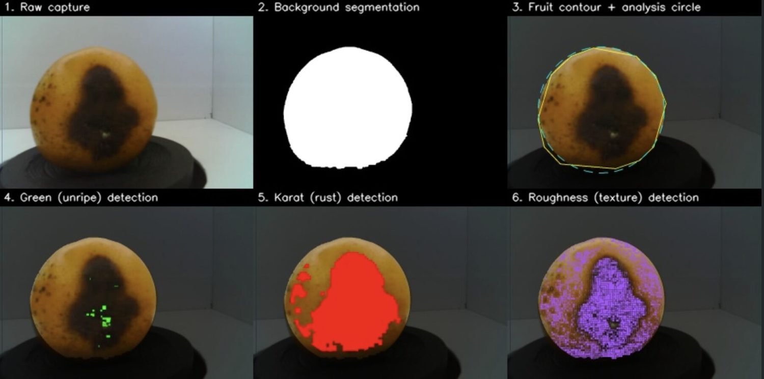 Six stages of the vision pipeline: raw capture, background segmentation, fruit contour, green detection, rust detection and roughness detection